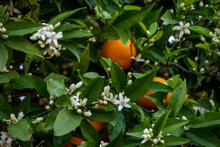 Escuela infantil el garabato. Entorno seguro y divertido, y metodología innovadora en Alhaurín de la Torre - Málaga